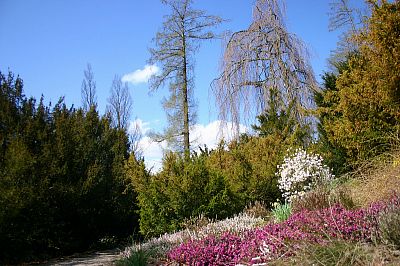 Anglický park